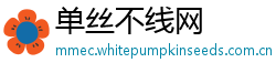 单丝不线网 单丝不线网